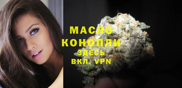 молекула духа Бородино