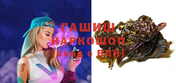 молекула духа Бородино