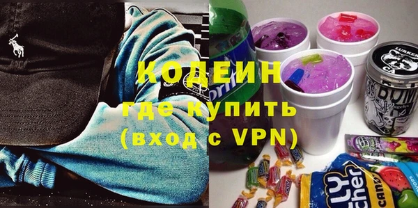 молекула духа Бородино